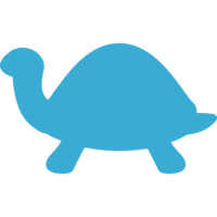 亀